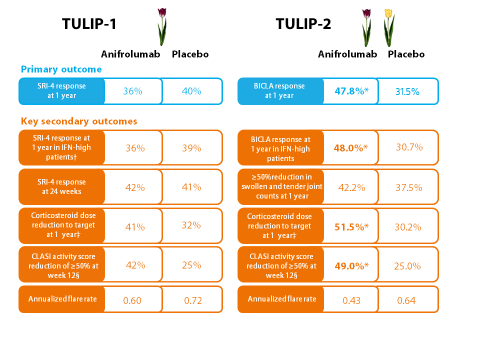 Summary of the TULIP-1 and TULIP-2 trials of anifrolumab in patients with lupus