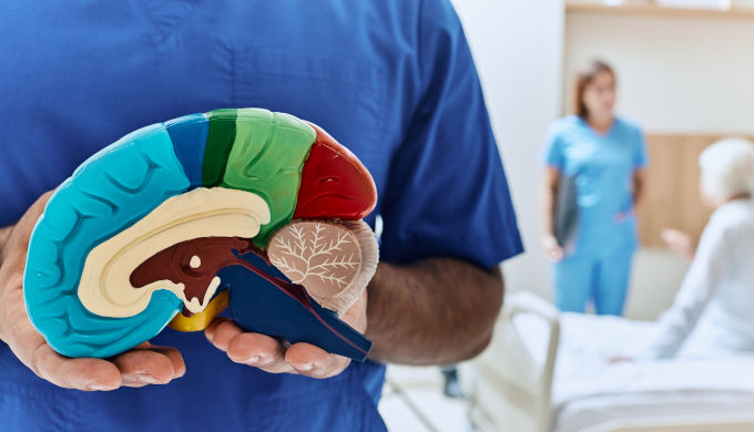 Elderly woman in hospital room with doctor and nurse. Neurologist holding anatomical model of human brain, conceptual image